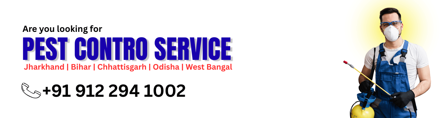 Are You Looking Best Pest Control Service Company Near me Ranchi Jharkhand - Best Termite Control near me Ranchi - Insect Care Pest Control near me Ranchi